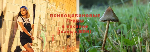 стаф Абдулино