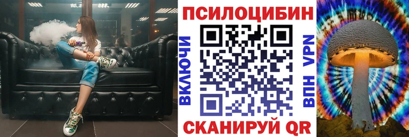 Галлюциногенные грибы Psilocybine cubensis закладки Тулун